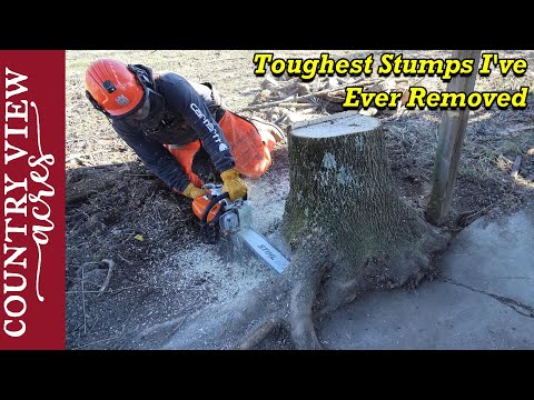 Видео: Удаление пней, вросших в бетон и вокруг столбов дровяного сарая.
