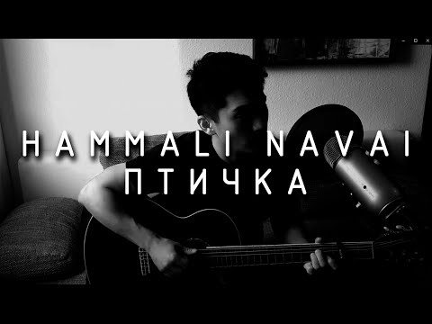 Видео: Hammali & Navai | Птичка (COVER)