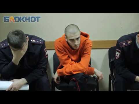 Видео: Суд Хаски полная версия