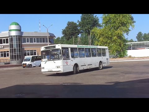 Видео: Автобус №282. АВ Витебск - Ходцы