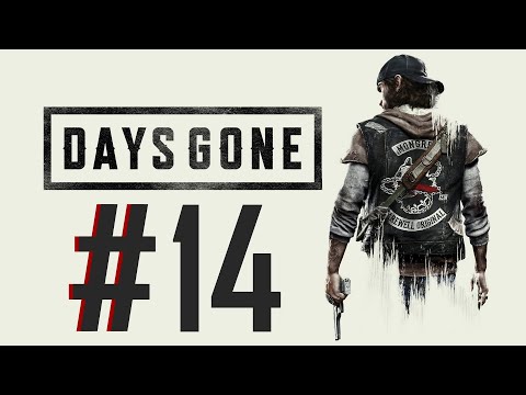 Видео: 🐼Days Gone. Стрим. Первое прохождение. #14
