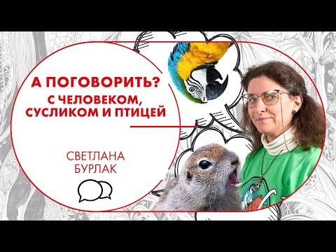 Видео: А поговорить? С человеком, сусликом и птицей. Формирование языка