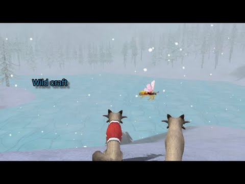 Видео: Wild craft играю за лису на второй карте