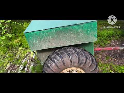 Видео: Тимшер-2025. Окончание.