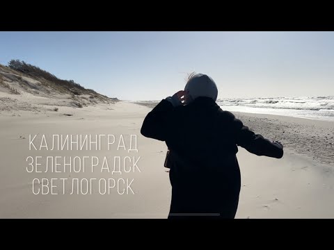 Видео: Калининград | Зеленоградск | Светлогорск | Первый влог из путешествия