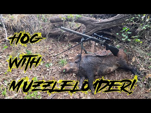 Видео: Охота на кабана с дульнозарядным ружьем Traditions Pursuit XT!