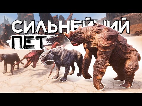 Видео: Самый сильный боевой питомец│Conan Exiles Age of Sorcery