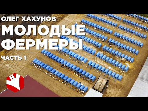 Видео: Молодой фермер | Обзор фермы | Cодержание коров | Выращивание телят