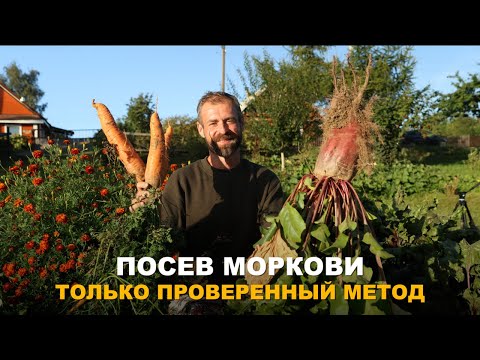 Видео: МОРКОВЬ ВЫРАСТЕТ КРУПНОЙ И ЗДОРОВОЙ БЕЗ ПРОБЛЕМ. Мой метод посева моркови.