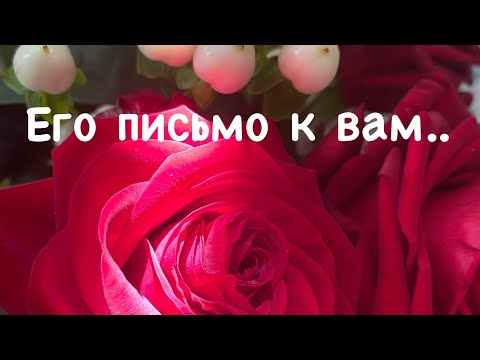 Видео: Письмо, которое так долго шло..опоздал или ещё есть надежда?!