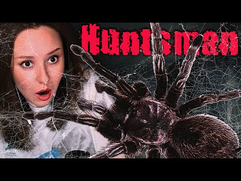 Видео: КАК Я ВСТРЕТИЛА ОГРОМНОГО ПАУКА | Huntsman | полное прохождение