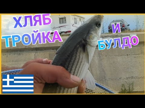 Видео: РИБОЛОВ НА МОРСКИ КЕФАЛ.ИЗМИСЛИХ СИ МОНТАЖ СПОРЕД ТОВА С КОЕТО РАЗПОЛАГАХ.