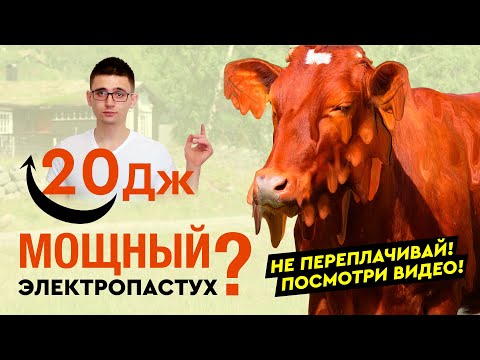 Видео: Как выбрать электропастух? Что означают Джоули? Ответы на самые распространённые вопросы!