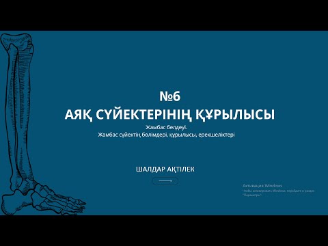 Видео: ОСТЕОЛОГИЯ | №6 САБАҚ | АЯҚ СҮЙЕКТЕРІНІҢ ҚҰРЫЛЫСЫ: ЖАМБАС БЕЛДЕУІ