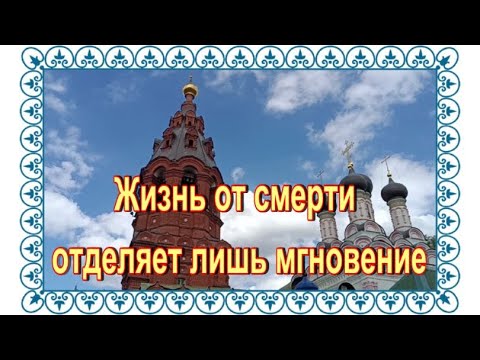 Видео: Нашла могилы родных Галины Волчек. Кунцевское кладбище.