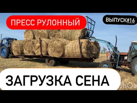 Видео: Продолжаем сенокос.Грузим телегу