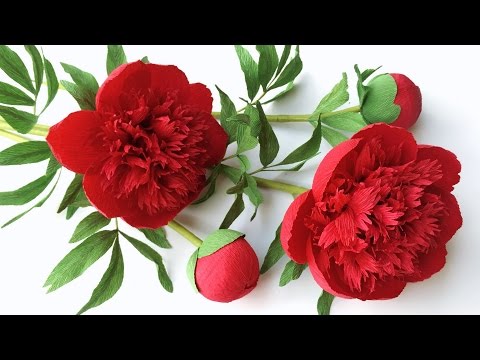 Видео: ABC TV | Как сделать красный цветок шарм пион бумаги из Креп бумаги Craft учебник