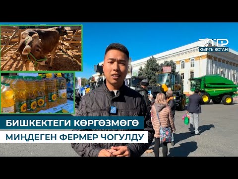 Видео: БИШКЕКТЕГИ КӨРГӨЗМӨГӨ МИҢДЕГЕН ФЕРМЕР ЧОГУЛДУ