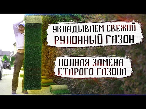 Видео: Очень интересный рельеф на участке / Замена старого рулонного газона на новый рулонный газон
