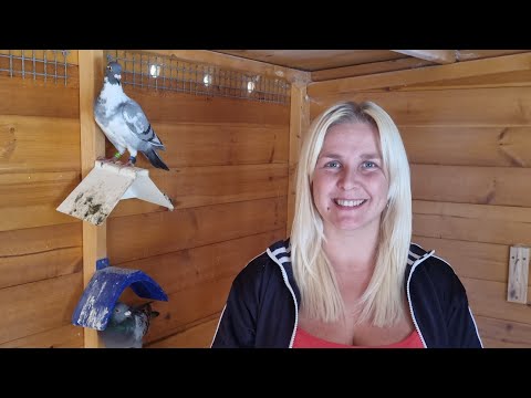 Видео: Захватывающая неделя 2023 года