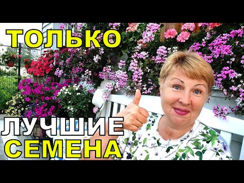 Видео: Только лучшие, качественные и проверенные семена дают красоту и урожай. Где брать?