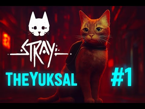 Видео: Прохождение Stray: Без комментариев - Часть 1