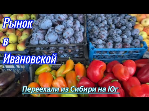 Видео: 663ч🏡10.09.25-Рынок в Ивановской/Наши покупки//Посадила деревья