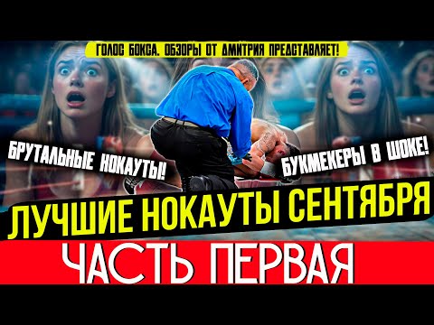 Видео: ЛУЧШИЕ НОКАУТЫ СЕНТЯБРЯ: Когда АУТСАЙДЕРЫ СТАНОВЯТСЯ ГЕРОЯМИ! часть первая