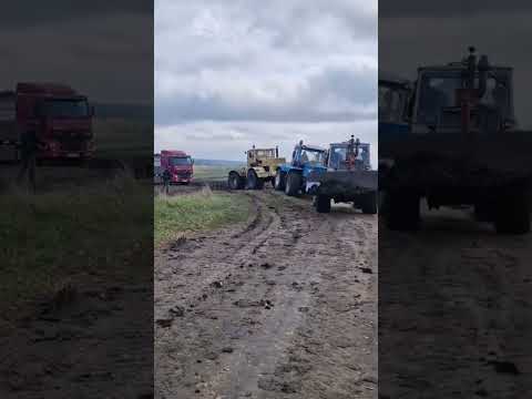 Видео: СЕРЬЕЗНО ВПРЯГЛИСЬ 🤯