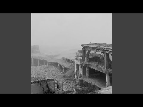 Видео: Кто мы, откуда, куда мы идем