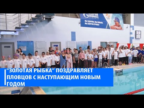 Видео: плавание Золотая Рыбка