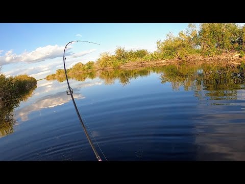 Видео: ДА СКОЛЬКО ИХ ТУТ?! ПОКЛЁВКА ЗА ПОКЛЁВКОЙ! Рыбалка "СПЛАВОМ" по дикой речке