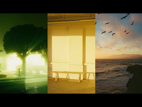 Видео: 10 рулонов пленки в Сан-Франциско