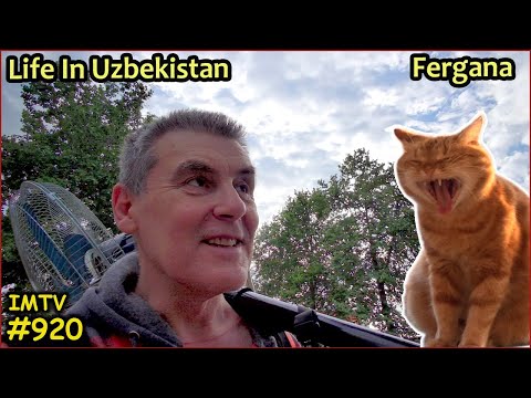 Видео: Фергана Узбекистан. В Поисках Вентилятора. Жизнь Шанти и Рокси в Узбекистане