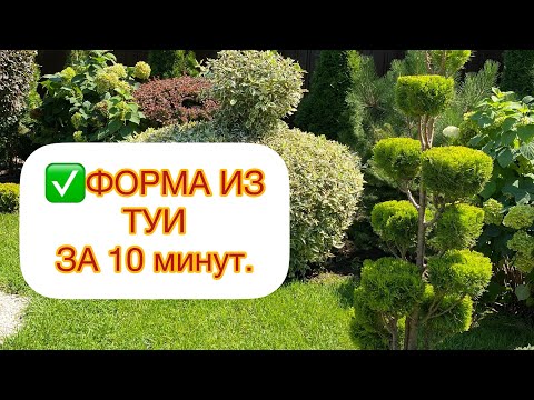 Видео: ✅ФОРМА ИЗ ТУИ ЗА 10 мин👍ПОДРОБНО‼️