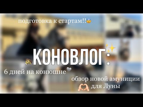 Видео: 6 ДНЕЙ НА КОНЮШНЕ С МОЕЙ ЛОШАДЬЮ: обзор новой амуниции + подготовка к стартам 🙃