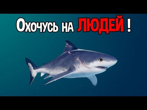 Видео: ЭТА АКУЛА СОЖРЕТ ВООБЩЕ ВСЕ ( Maneater )