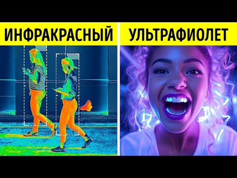 Видео: Что если бы мы могли видеть в инфракрасном и ультрафиолетовом диапазонах