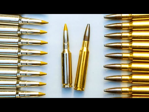 Видео: Лучшие дальнобойные калибры 2024 года