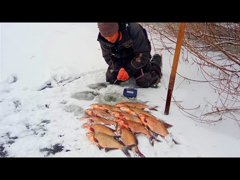 Видео: ТЕХНІКА ЛОВЛІ ЛЯЩА НА МОРМИШКУ.Зимова рибалка на ляща