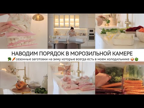 Видео: ЗАГОТОВКИ В ЗАМОРОЗКУ НА ЗИМИ -  ПОРЯДОК И ХРАНЕНИЕ В МОРОЗИЛЬНОЙ КАМЕРЕ 🥕🫑