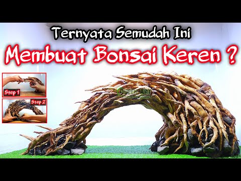 Видео: РУКОВОДСТВО СДЕЛАТЬ БОНСАЙ АКВАСКАП ДЛЯ НАЧИНАЮЩИХ