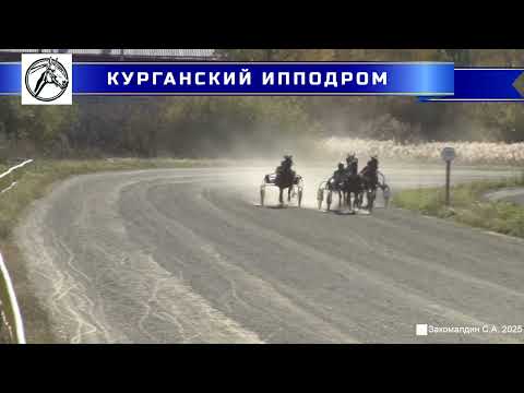 Видео: 04.10.2025 - Заезд 3: Приз им. Локотского конного завода для лошадей рысистых пород 3-х лет. 2400 м.