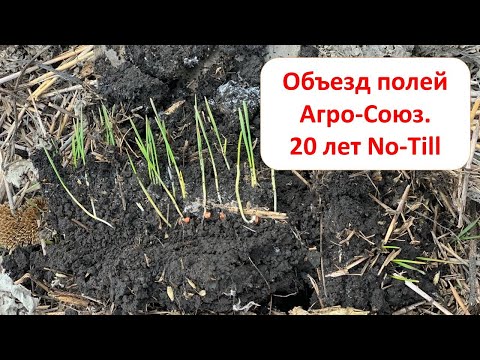 Видео: 20 лет No-Till в Агро-Союзе - объезд полей, состояние почвы. Ошибки при посеве.
