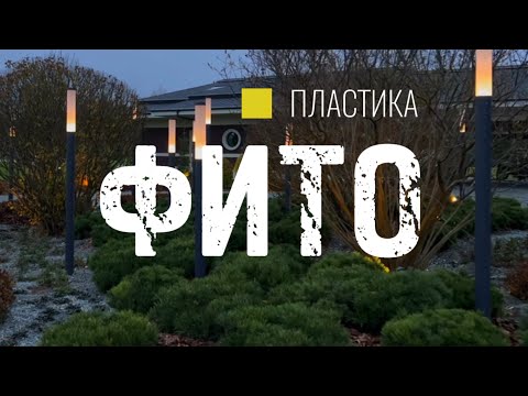 Видео: Секреты сада МАЛОГО УХОДА. Фитопластика, яркая идея и ритм фонарей #озеленение #свет