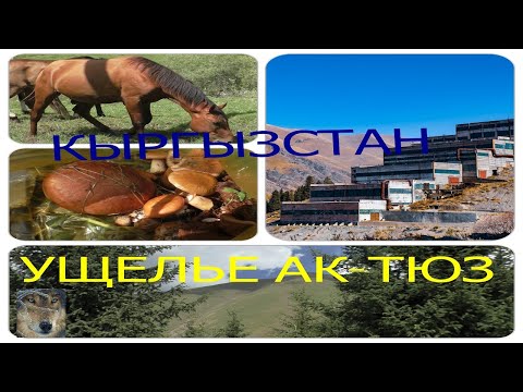 Видео: КЫРГЫЗСТАН .УЩЕЛЬЕ АК-ТЮЗ-БЕЛАЯ ДОЛИНА,РУКОТВОРНЫЙ ФОНТАН В ГОРАХ,ПАСЕКА,август 2020,КЫРГЫЗСТАН