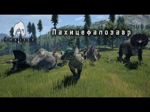 Видео: The Isle - пахицефалозавр