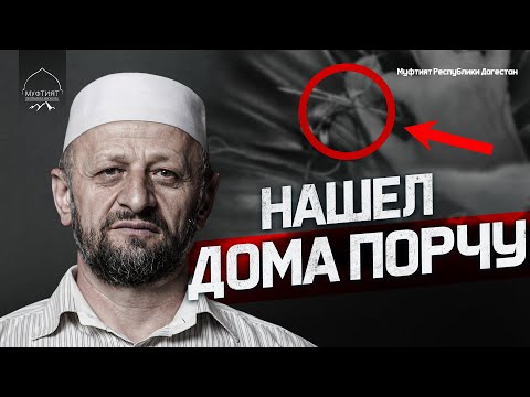 Видео: НАШЕЛ ДОМА ПОРЧУ. КАК БЫТЬ?