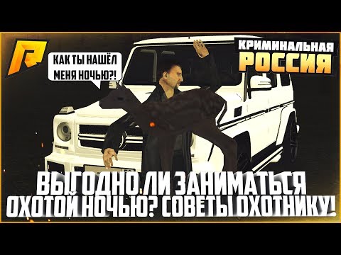 Видео: ВЫГОДНО ЛИ ЗАНИМАТЬСЯ ОХОТОЙ НОЧЬЮ? СОВЕТЫ ОХОТНИКУ! - RADMIR CRMP