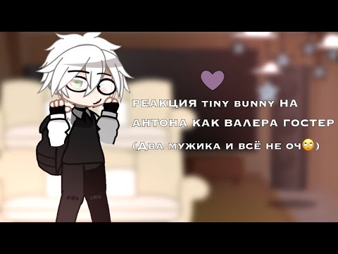 Видео: РЕАКЦИЯ tiny bunny НА АНТОНА КАК ВАЛЕРА ГОСТЕР (Два мужика и всё не оч🙄)